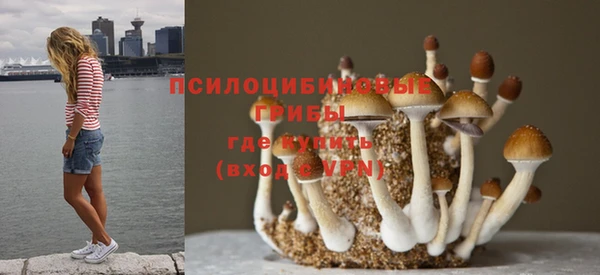 кокаин перу Аркадак