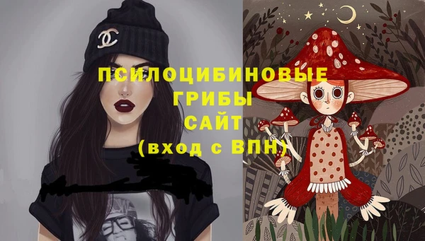 прущие грибы Армянск